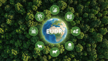 EUDR und digitaler Produktpass 