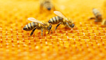 Microservices mit node.js