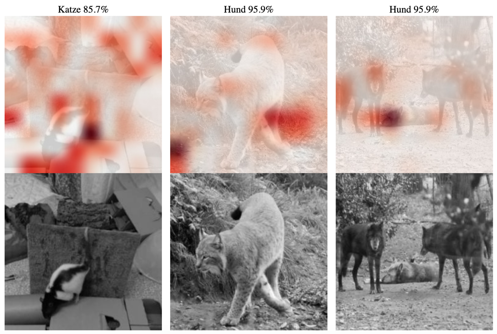 Abb. 9: Heatmaps und Vorhersagen für Bilder mit Tieren, die nicht als Klasse enthalten sind. © Prof. Dr. J. Frochte & C. Kaufmann 