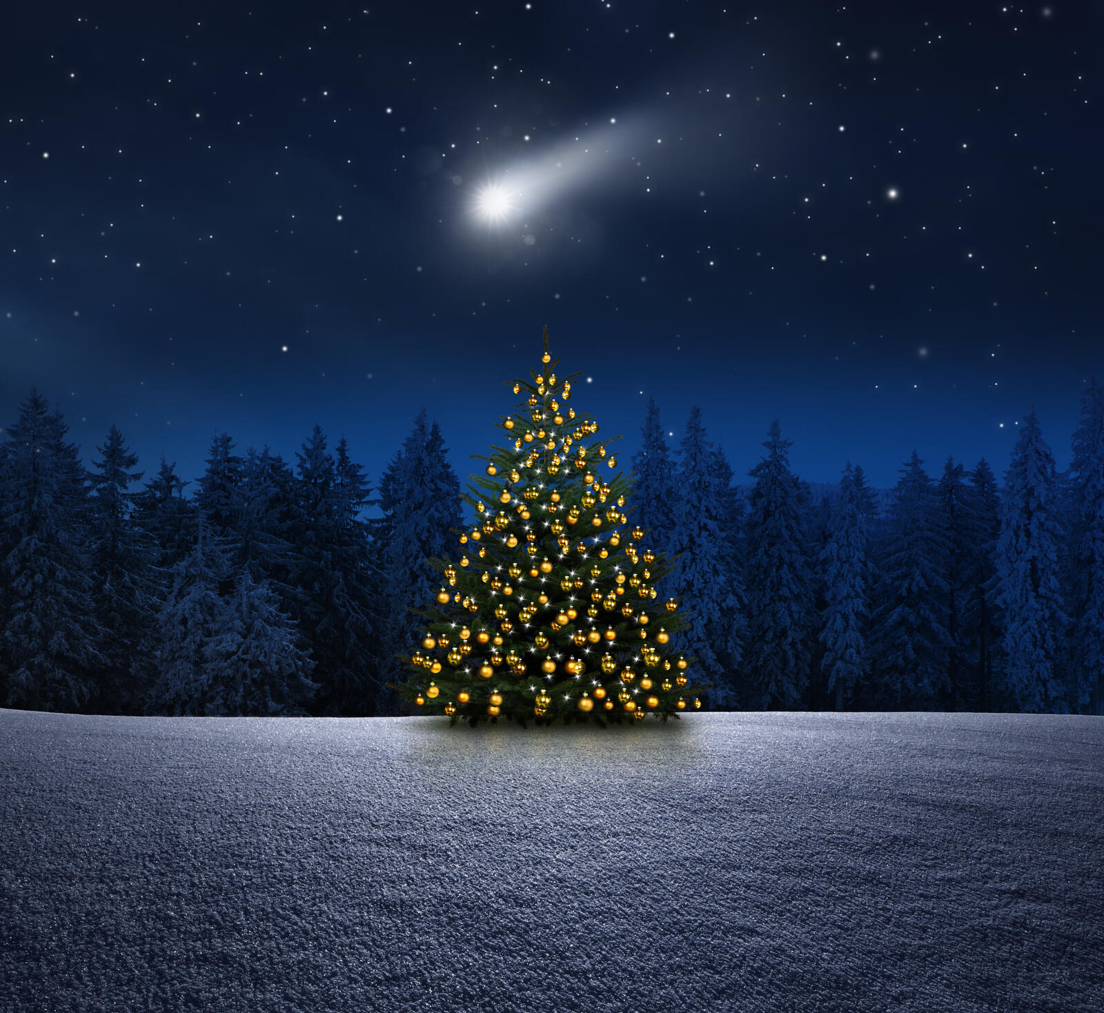 Schöne Weihnachten wünscht das Team der Informatik Aktuell <br>© Adobe: by-studio Schöne Weihnachten wünscht das Team der Informatik Aktuell <br>© Adobe: by-studio