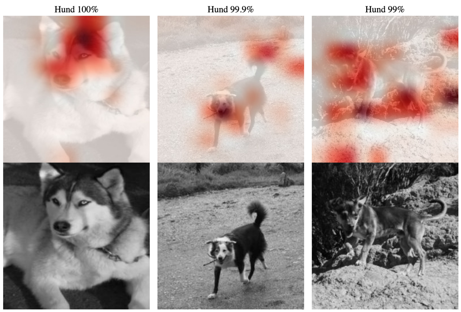Abb. 6: Heatmaps und Vorhersagen für Bilder mit Hunden. © Prof. Dr. J. Frochte & C. Kaufmann 