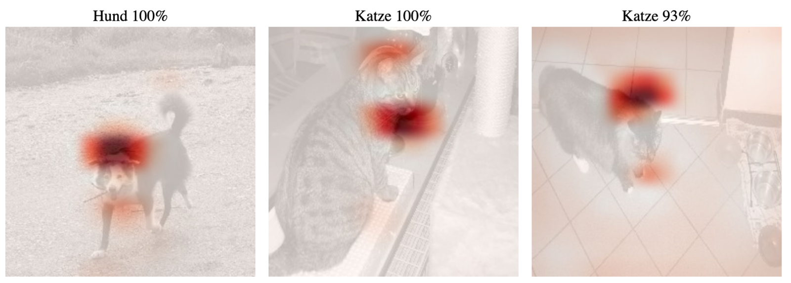 Abb. 10: Class Activation Maps und Vorhersagen mit modifiziertem VGG-16-Netz. © Prof. Dr. J. Frochte & C. Kaufmann 