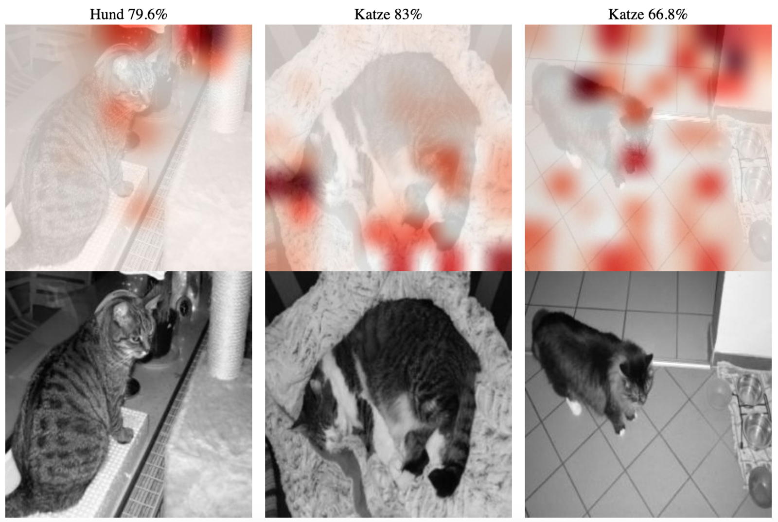 Abb. 7: Heatmaps und Vorhersagen für Bilder mit Katzen. © Prof. Dr. J. Frochte & C. Kaufmann 