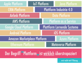 Abb. 2: Beispielhaft anzutreffende Plattform-Begriffe in der IT (kleine Auswahl). © M. Naab, D. Rost & M. Trapp 