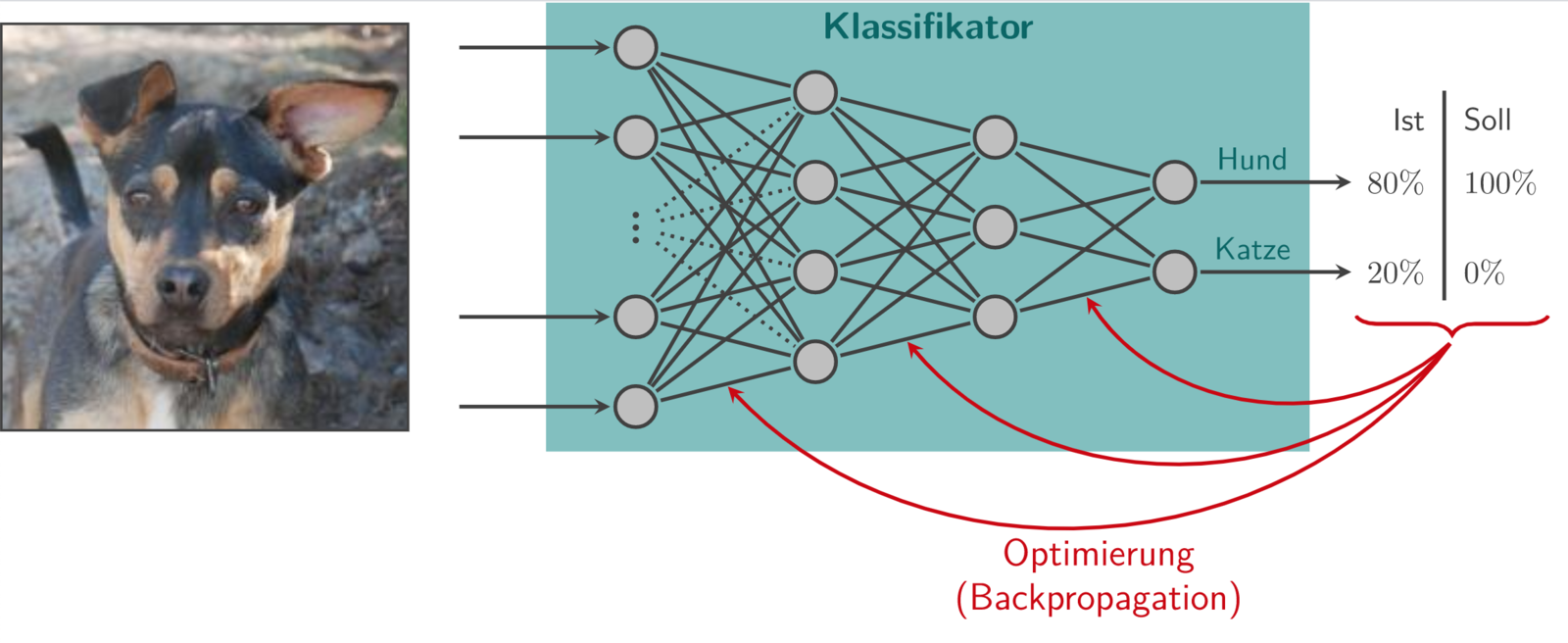 Abb. 1: Training von neuronalen Netzen. © Prof. Dr. J. Frochte & C. Kaufmann 