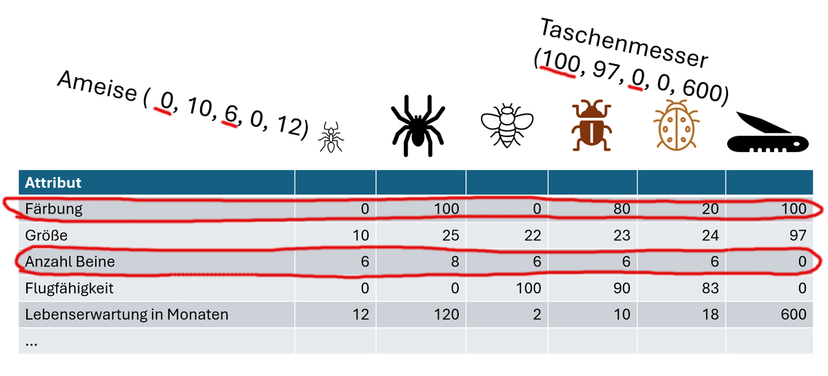 Tabelle 2: Exemplarische Abbildung von Attributen, die verschiedene Objekte mit Hilfe von Zahlen beschreibe, hier u.a. die Färbung (0 = durchsichtig, 100 = tiefschwarz) oder die Zahl der Beine. © Torsten Ahlemeyer