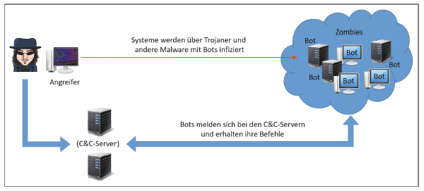 Abb. 1: Bots kontaktieren die C&C-Server. © E. Amberg & D. Schmid