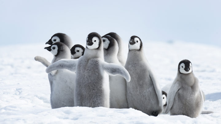 Die grafische Benutzeroberfläche zu realisieren, ist eine größere Hürde. © Adobe: Silver / stock.adobe.com / 240241222 © Adobe: Silver