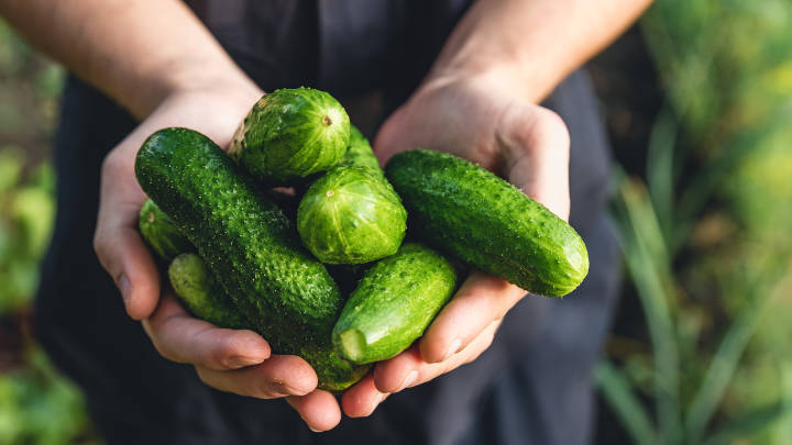 Cucumber ist kein komplexes Framework, sondern hilft dabei, die Parameter aus der Gherkin-Phrase an den richtigen Glue-Code zu übergeben. © Adobe: samael334 / stock.adobe.com / 284641543 © Adobe: samael334
